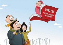 学者:应启动全面二孩鼓励措施养孩,国家化是趋势