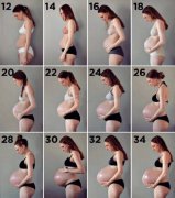 孕期安全图鉴：孕妈站、坐、躺、弯腰、上下楼