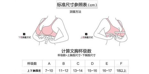 罩杯abcd怎么分大小哪个大？